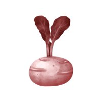 Red Kohlrabi | Red Vegetables Names