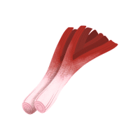 Red Leek | Red Vegetables Names