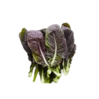 Red Mustard | Red Vegetables Names