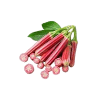 Red Okra | Red Vegetables Names
