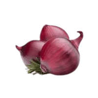 Red Scallion | Red Vegetables Names