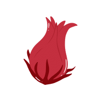 Red Sorrel | Red Vegetables Names