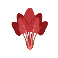 Red Spinach | Red Vegetables Names