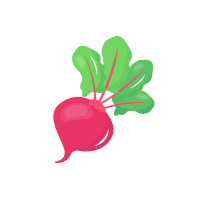 Red Turnip | Red Vegetables Names