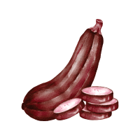 Red Zucchini | Red Vegetables Names