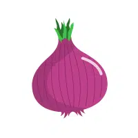 Red | Bulb Vegetables Names