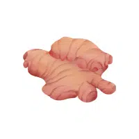 Redginger | Rhizome Vegetables Names