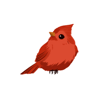 Redstart | Migratory Birds Names