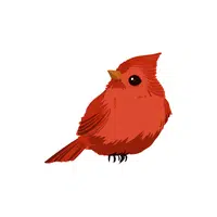 Redstart | Migratory Birds Names