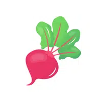 Redturnip | Root Vegetables Names
