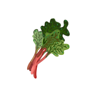 Rhubarb | Red Vegetables Names