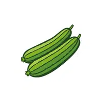 Ridgegourd | Seasonal Vegetables Names