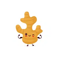 Riverginger | Rhizome Vegetables Names
