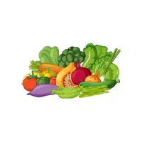 Riverroot | Rhizome Vegetables Names