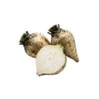 Rootwort | Root Vegetables Names