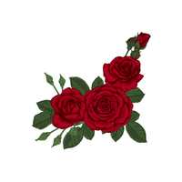 Rose | Flowering Shrubs Names