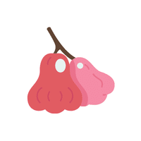 Roseapple | Island Fruits Names