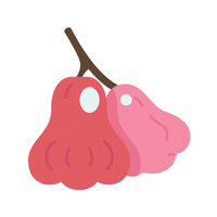 Roseapple | Coastal Fruits Names