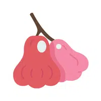 Roseapple | Coastal Fruits Names