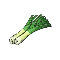 Roundhead | Bulb Vegetables Names