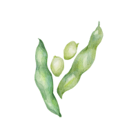 Runner | Pod Vegetables Names