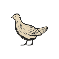 Sandg | Game Birds Names