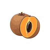 Sapodilla | Fruit Plants Names