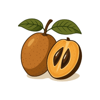 Sapodilla | Island Fruits Names