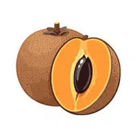 Sapodilla | Coastal Fruits Names