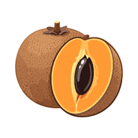 Sapodilla | Autumn Fruits Names