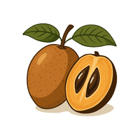 Sapodilla | Spring Fruits Names