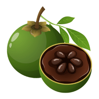 Sapote | Autumn Fruits Names