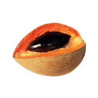 Sapote | Spring Fruits Names