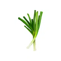 Scallion | Bulb Vegetables Names