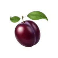 Seaplum | Coastal Fruits Names