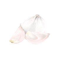 Shallot | White Vegetables Names