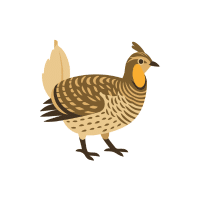 Sharpg | Game Birds Names