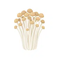 Shimeji | White Vegetables Names