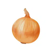 Siberian | Bulb Vegetables Names