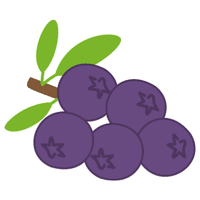 Sloe | Autumn Fruits Names