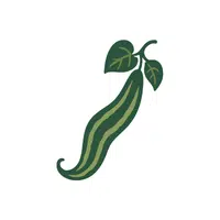 Snakegourd | Seasonal Vegetables Names