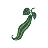 Snakegourd | Seed Vegetables Names