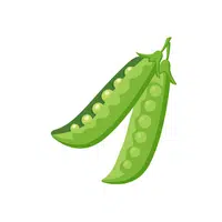Snow | Seed Vegetables Names