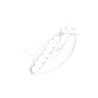 Snowpea | White Vegetables Names
