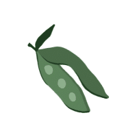 Snowpea | Pod Vegetables Names