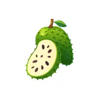 Soursop | Fruit Plants Names