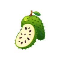 Soursop | Island Fruits Names