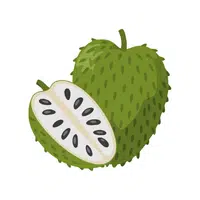 Soursop | Coastal Fruits Names