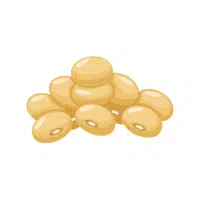 Soy | Seed Vegetables Names