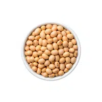 Soybean | Seasonal Vegetables Names